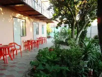 В гостях у бабушки - 1