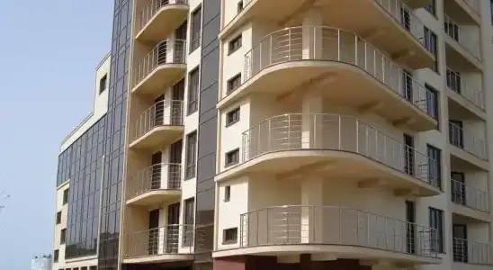 Фламинго - 23