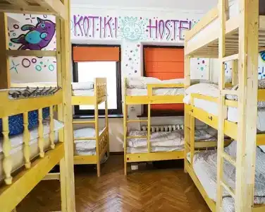 Котики - 1