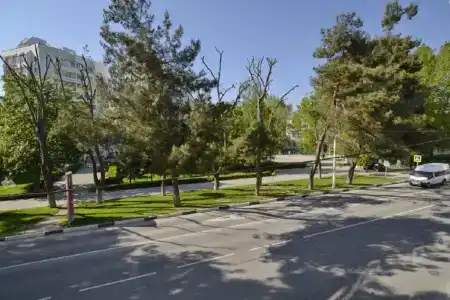 S-Мишель - 16