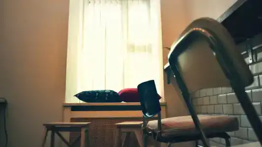 Пихта - 11