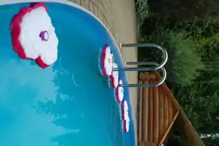 Лесная поляна - 21