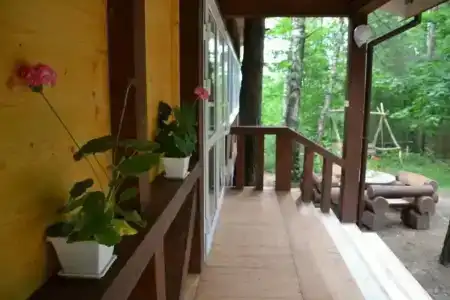 Лесная поляна - 3