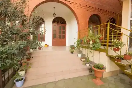 Каприз - 0