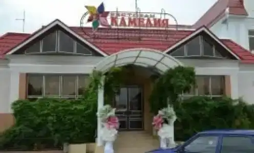 Камелия - 0