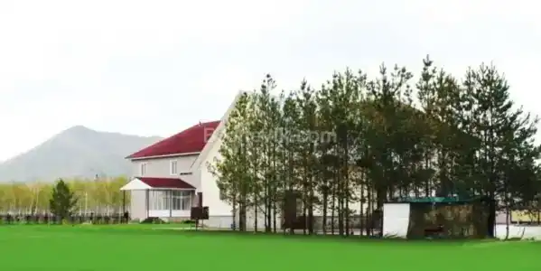Эдельвейс - 19