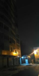 Мини-Акация - 6