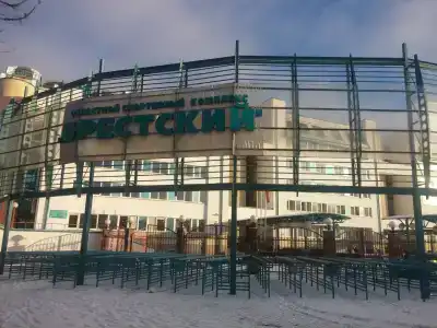 5 колец - 0
