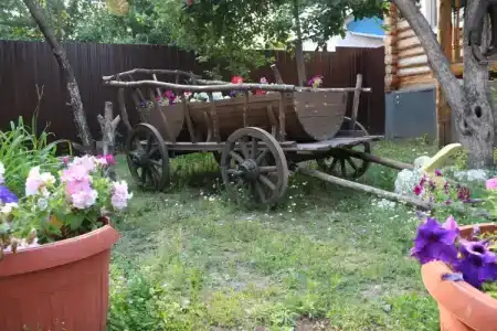 Дружба - 2