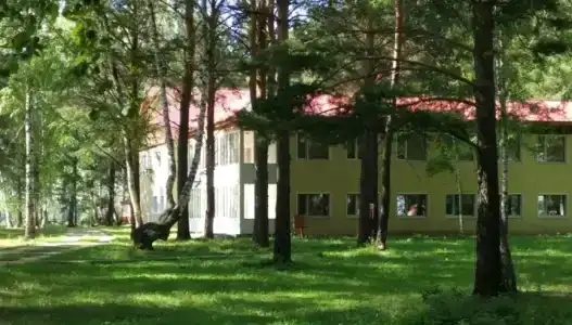 Чайка - 0