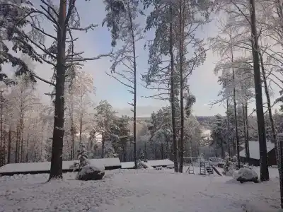 SMART на Горе - 23