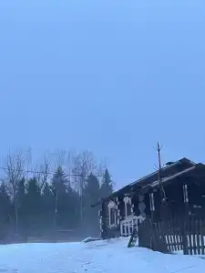 в лесу - 11