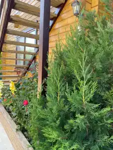 Азов Бриз - 39