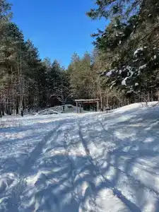 Артемида - 7