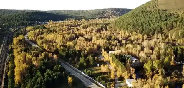 Голубые Ели - 1