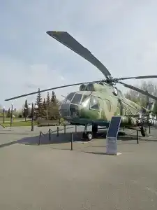 Добрый финн - 6