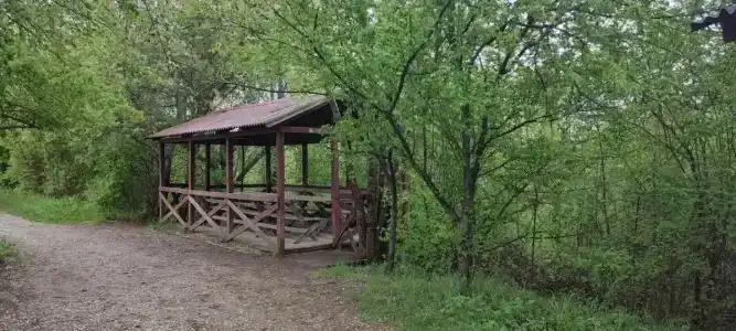 Родное - 23