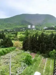 Фламинго - 37