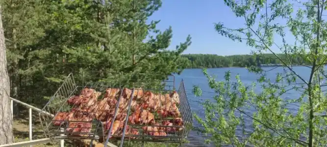 Лопотово - 45