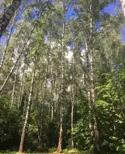 Комплекс Бухта радости - 9