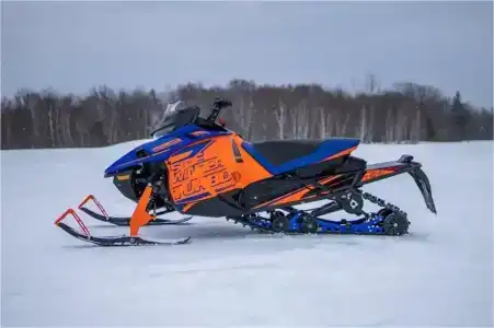 Снегоходия - 31