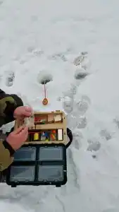 Рест-Марин - 39