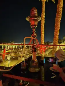 Beach Albatros - - 40