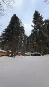 Ак Барс - 13
