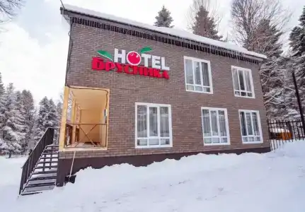 Брусника - 0