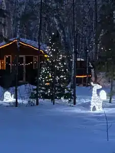 ForestHouse Лесной домик - 25