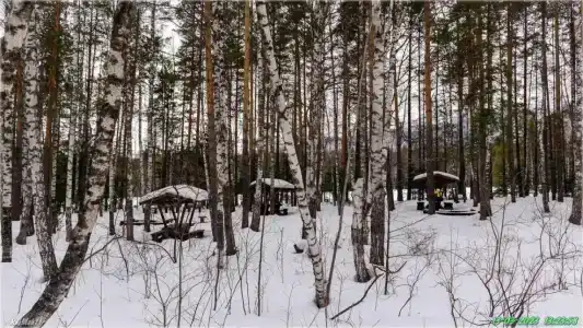 Веселый ключ - 29