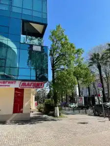 InSochi - 50