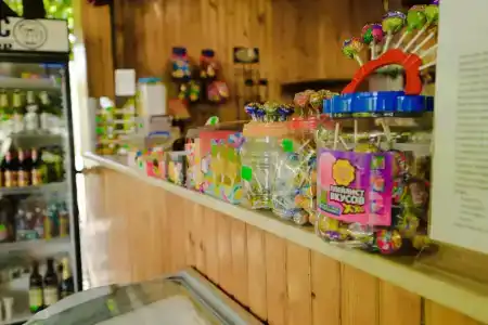 Альбатрос - 44