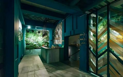 Tulip Residence & Spa - 40