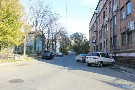 Каштан - 1