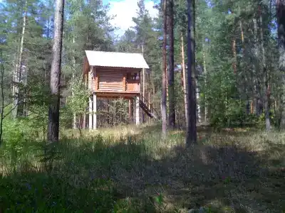 Сечуга - 32