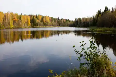 Сечуга - 43