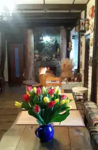 Агроусадьба Беловежская Гостевая - 18