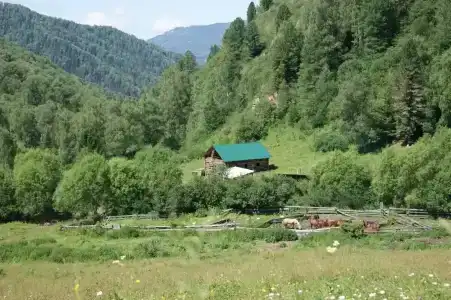 Эдем - 6