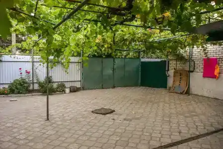 Антонина - 13