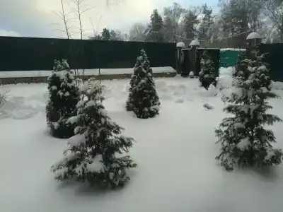 Гавань - 10
