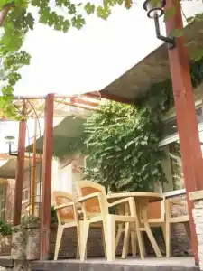 Paradise - 11