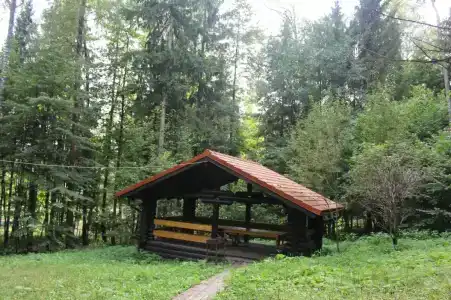 Лесной Дом - 23