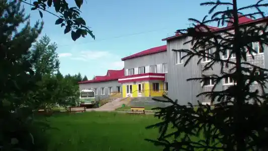 Кедр - 19