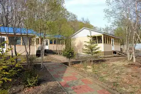 Созвездие Льва - 33