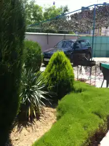 Дача у толстяка - 2