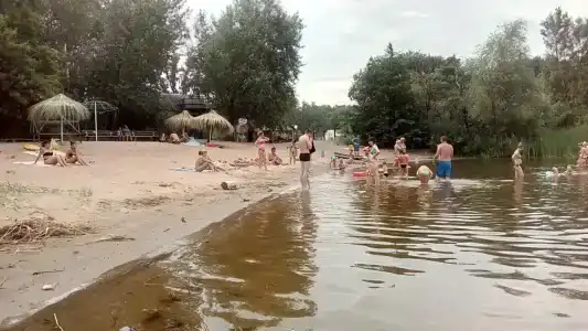 Дубовая Грива - 34