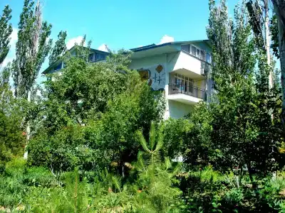 Шико 1 - 12