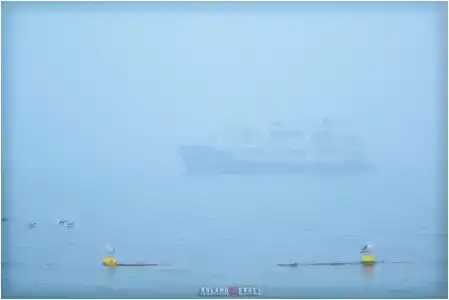 Сидими - 7