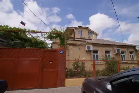 Адениум - 11